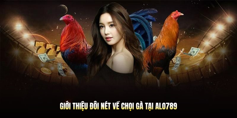 Chọi Gà Alo789 - Cá Cược Kịch Tính Trong Từng Giây Phút